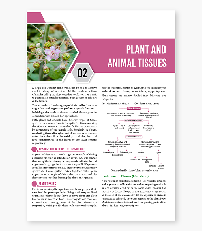 Biology Textbook For ICSE Class 9 4