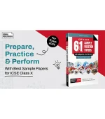 ICSE 61 SQP 2025_X-02