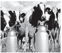 Food Security in Indiaanswer7