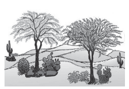 vegetation 1