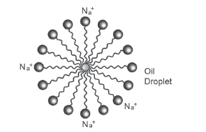 Carbon and its Compoundsanswer15