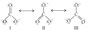 Chemical Bonding and Molecular Structure_ans11