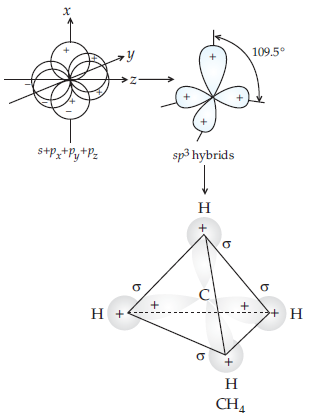Chemical Bonding and Molecular Structure_ans24_iii