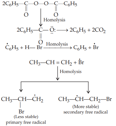 primary free radical