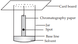 chromatogram