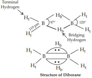 Terminal Hydrogen
