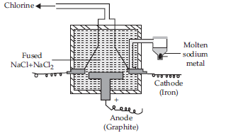 The s-Block Elements_ans16