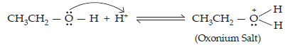 Alcohols, Phenols and Ethers_ans19(1)