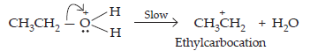 Alcohols, Phenols and Ethers_ans19(2)