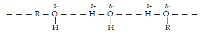 Alcohols Phenols and Ethers ans51