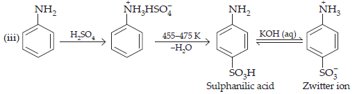 Amines_ans11(1)