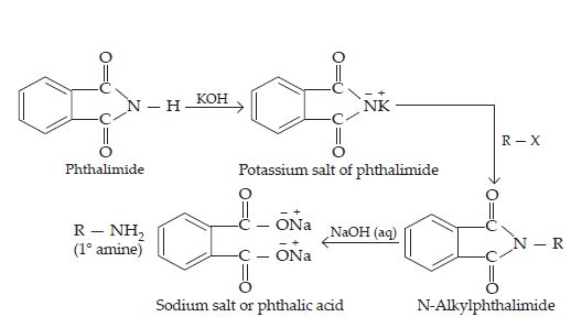 Amines_ans12(1)