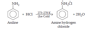 Amines_ans13(1)