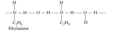 Amines_ans3(3)