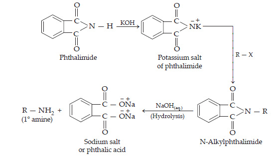 Amines_ans7(7)