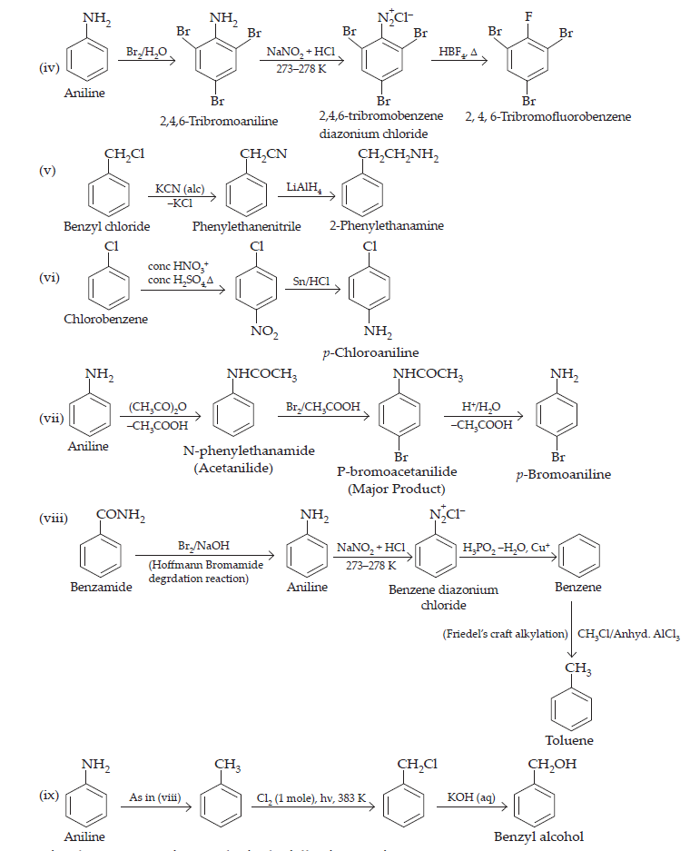 Amines_ans8(2)