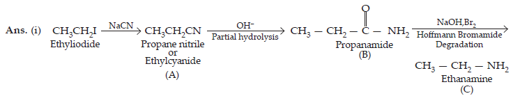 Amines_ans9(2)
