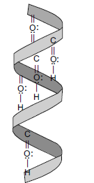 Biomolecules_ans13(1)