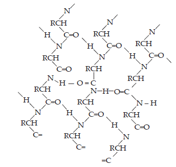Biomolecules_ans13(2)