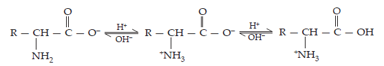 Biomolecules ans162