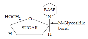 Biomolecules_ans21(1)
