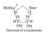 Biomolecules_ans22(1)