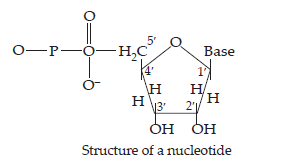 Biomolecules_ans22(2)