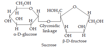 Biomolecules_ans5(1)