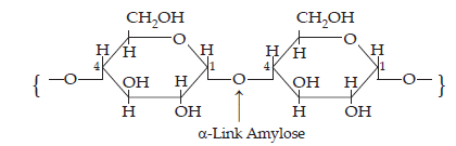 Biomolecules_ans8(1)