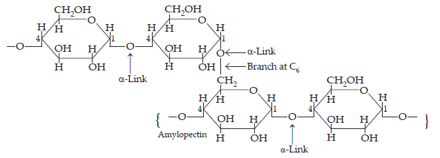 Biomolecules ans82