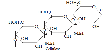 Biomolecules ans83