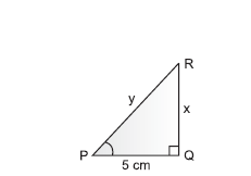 Introduction of Trigonometry8_ans(10)