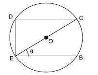 Application of Derivatives_6.5_Ans19