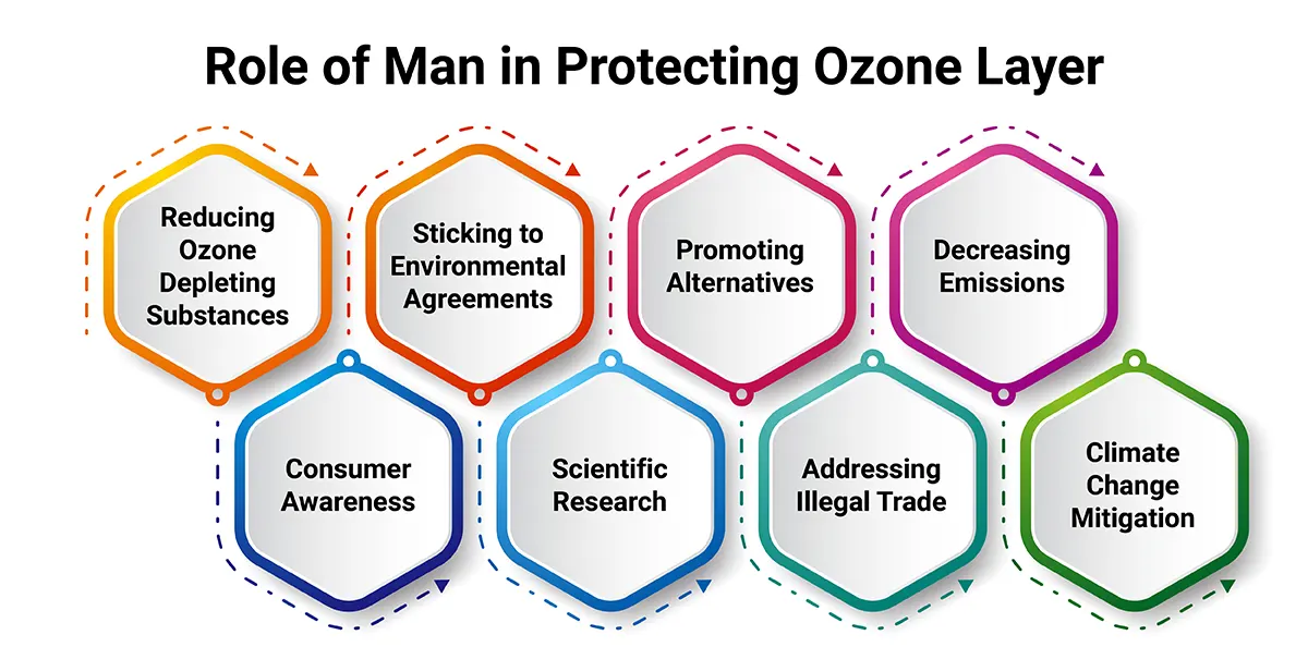 essay on ozone day - role of man in protecting ozone layer