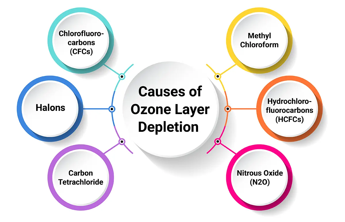 essay on ozone layer-causes of ozone layer depletion 
