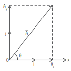 phy4