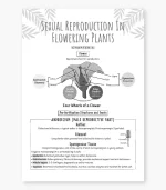 CUET Biology Solved PYQs Chapterwise