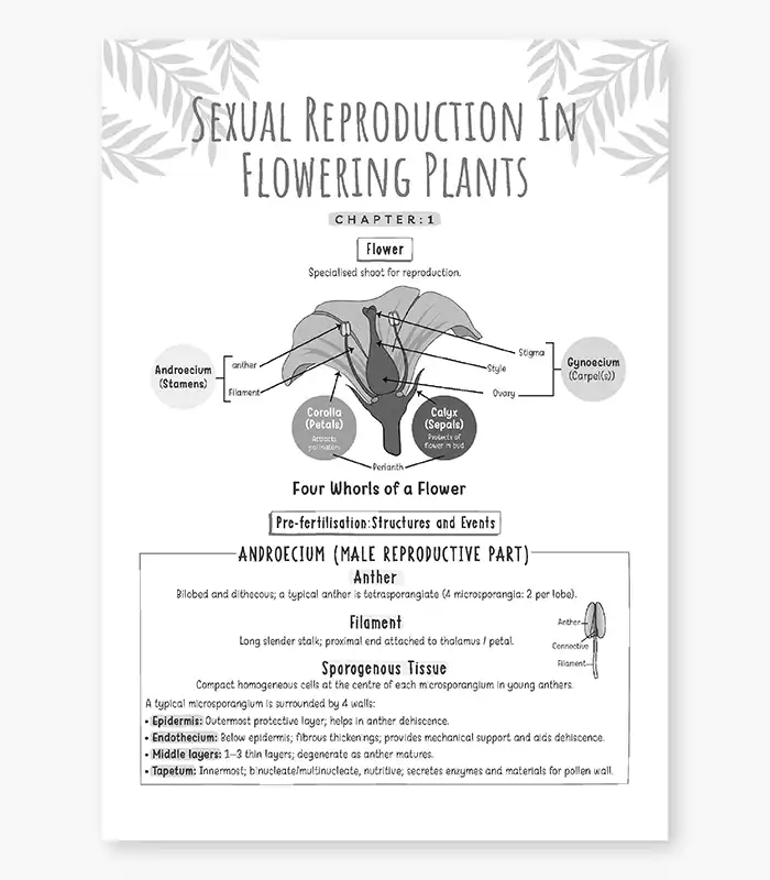 CUET Biology Solved PYQs Chapterwise