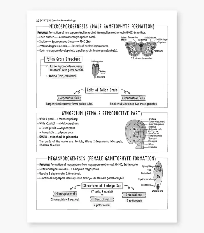 Biology MCQs CUET UG