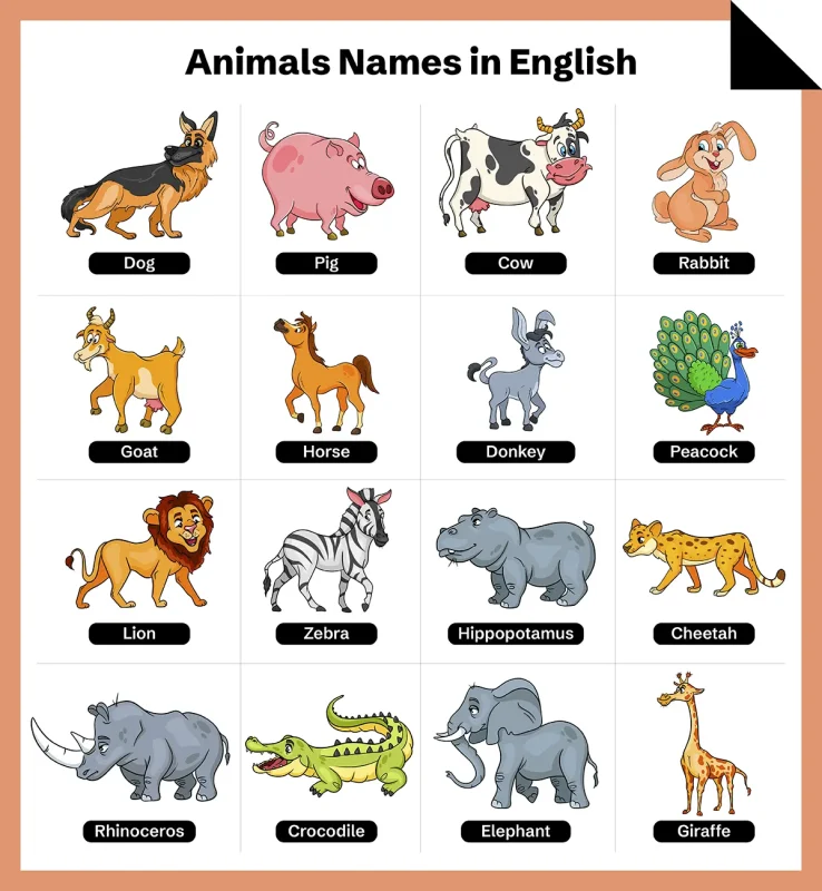 Animals Name Chart