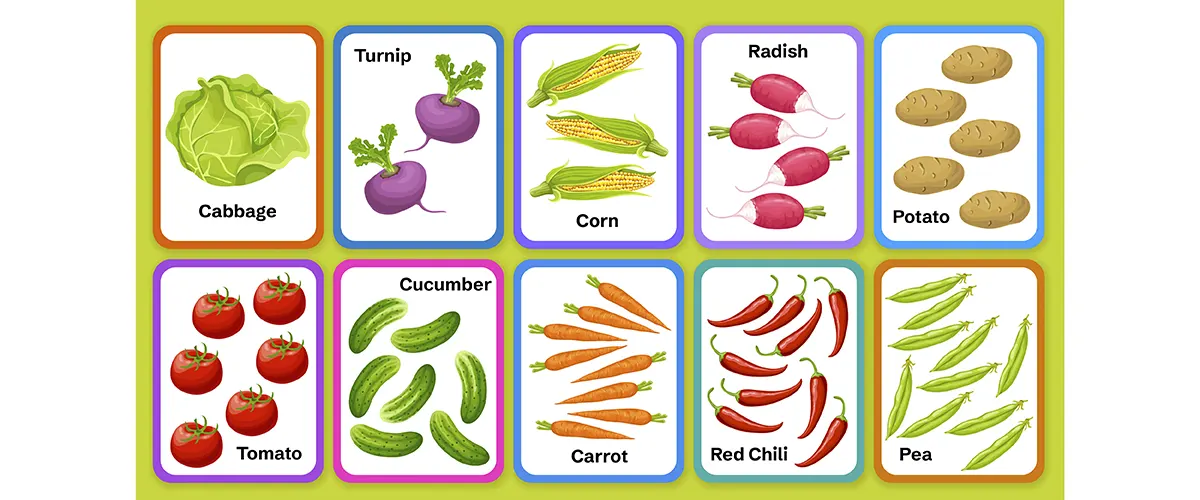 Flashcards and Picture Books