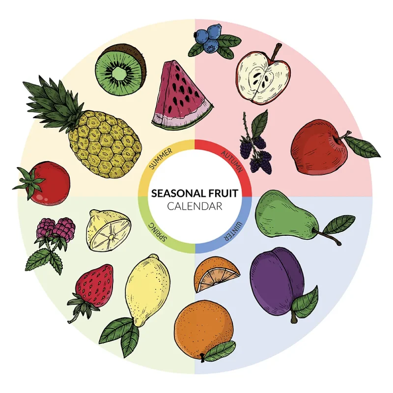 Seasonal Fruits Calendar