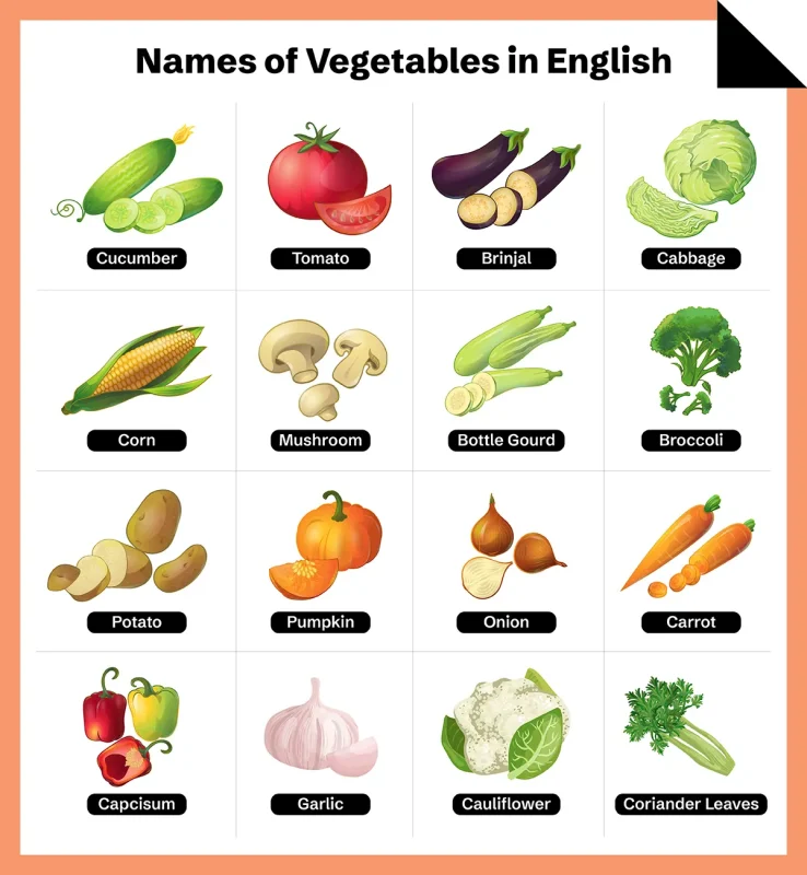 Vegetable Chart in English