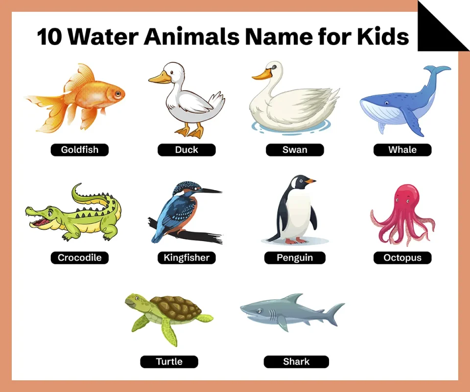 10 Water Animals Name in English
