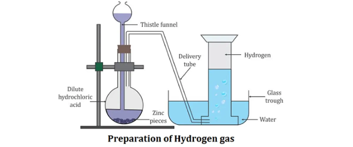 Laboratory Preparation of Hydrogen Gas - Important Diagrams for CBSE Class 10 Science