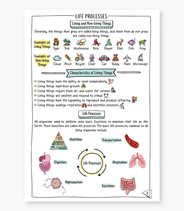 Biology Concept Organiser Retriever CBSE Class 10 for Exam 2026 03