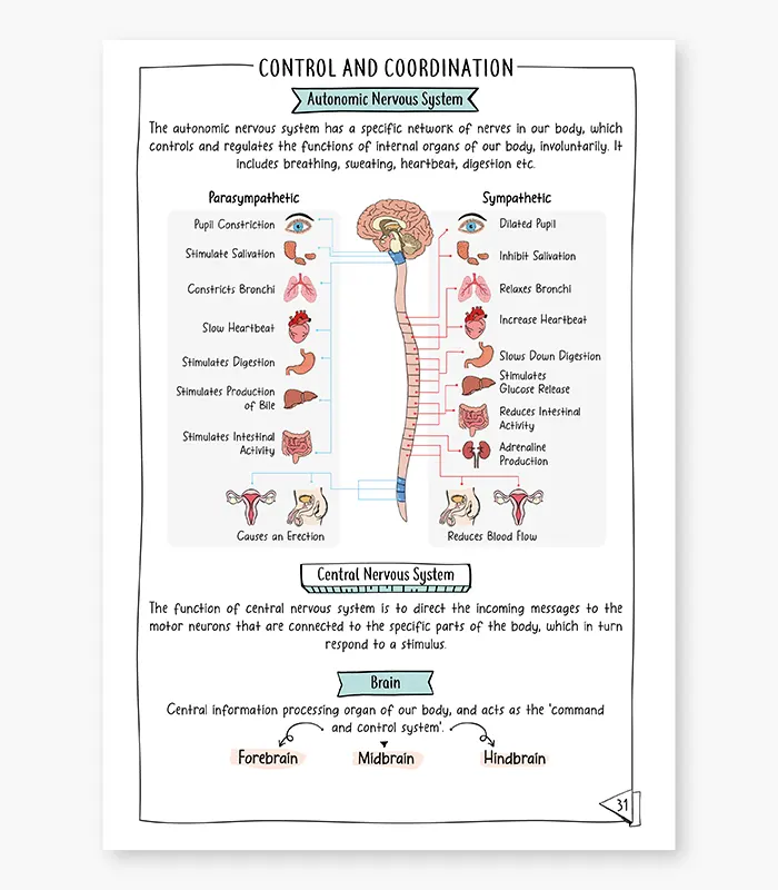 Biology Concept Organiser Retriever CBSE Class 10 for Exam 2026 04