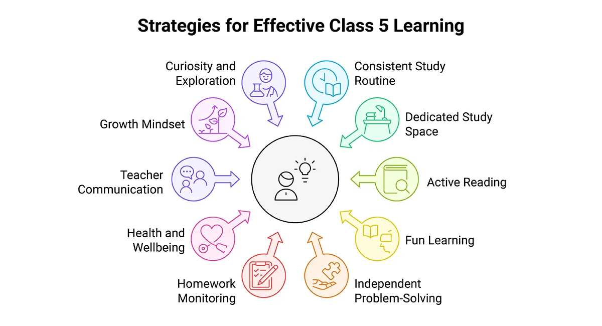 Top 10 Tips to Support Class 5 Learning