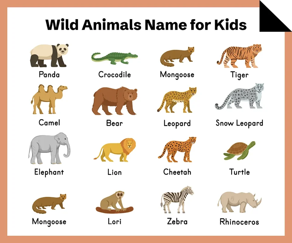Wild Animals Name for Kids