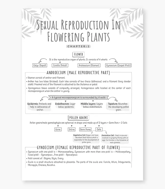PowerBook CBSE Class 12 Biology Past Papers For Exam 2026 4